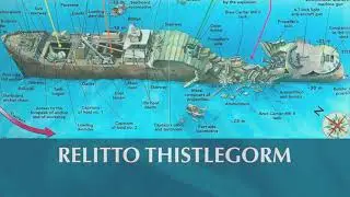 2023   Relitti e barriere del mar Rosso