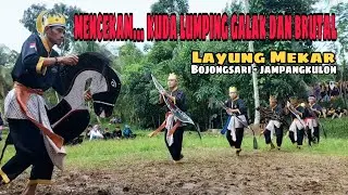 SEREM‼️KUDA LUMPING GALAK DAN BRUTAL | LAYUNG MEKAR - JAMPANGKULON