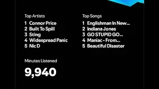Google’s AI NotebookLM gives you a rundown of my Spotify wrapped 2024