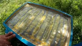 Why Ukrainian Beehive is  So Effective? How is it Working? (in ENGLISH)