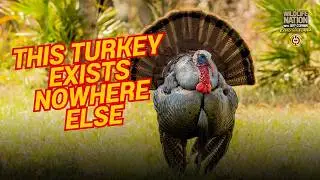 This Turkey Exists Nowhere Else