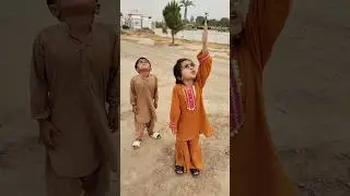 yashfa ne parindon 🐦 🕊️ ke bacho ko bacha Liya #love #birds #motivation #shorts #ytshorts