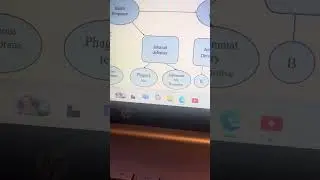 Immune Response Flow Chart