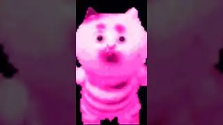 SENAP!!!!!!!!!!!!!