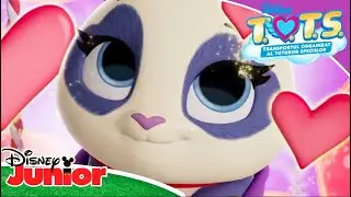 😍 Vraja adorabilității | T.O.T.S. | Disney Junior România