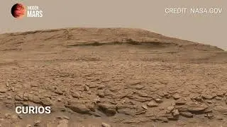 What Is This on Mars? Perseverance&rsquo;s 360&deg; View | Mars Footage