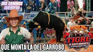 ESTA VEZ LES TOCO GANAR A LOS JINETES | RANCHO EL TIGRE Vs ASES INDOMABLES Y PEQUEÑOS GERROS