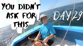 SAILING FOOTAGE NOBODY ASKED FOR - RUNNING ONE MILE EVERY DAY - DAY 29