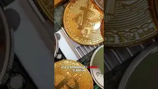 FBI Cracks Russian Ransomware Gang &ndash; $1M Bitcoin Gone!
