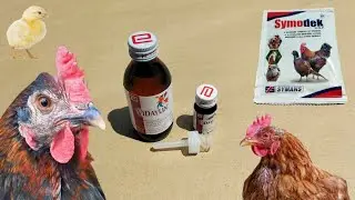 Vitamins for Backyard Chickens | Vidaylin and Symodek Multivitamins for Poultry | Dr. ARSHAD