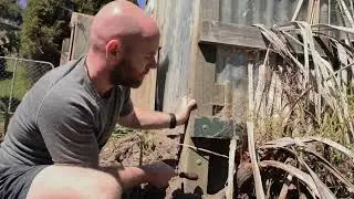Rodent Control on Farms. Poison Free Automatic Solution
