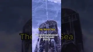 Wave Whisperer: North Sea Tales 😱 #ocean #sea #mystery #explore #adventure #shorts