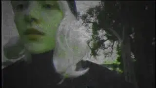 FOREST MAFIA