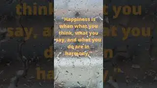 Happiness Quotes #quotes #shortvideo#quoteschannel