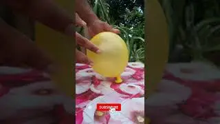 Amazing Balloon And Coin Tricks