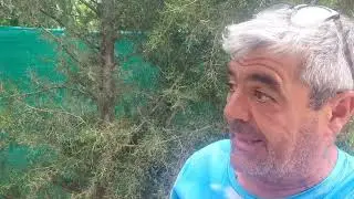 Como regar y abonar por goteo de manera simple sencilla y económica