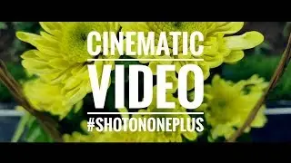 OnePlus 6 Cinematic Video | Lola Mamang #ShotOnOnePlus