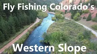Fly Fishing Colorado's Western slope with MASSIVE Dry Flies!!! (exploring new water)
