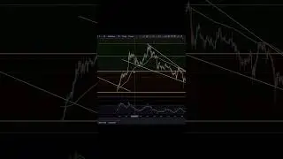 $ADA The Bull Market Is Here... #Cardano #cardanoupdate