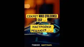 😧 NiKo: &laquo;Меняешь настройки = играешь лучше!&raquo;