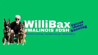 Hundeerziehung, Hundetraining, Hundesport - mit WilliBax