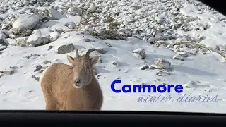 winter diaries | cozy day in Canmore, Canada