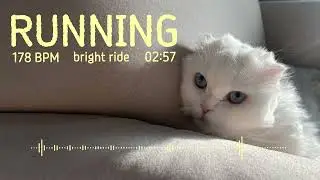178bpm-bright ride
