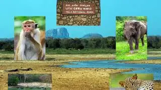 ANGOLA Africa is one of the best places to experience for many reasons, watch and see
