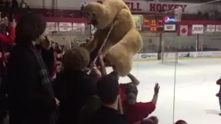 Cornell Hockey Teddy Bear Toss Lynah Rink 2016