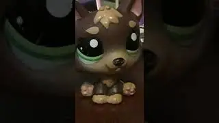lps does asmr...(Trouble double)