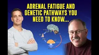 Adrenal Fatigue and DNA Testing | Connecting the Dots