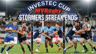 European Reality Check? SA Sides Tested | Stormers, Bulls, Lions & Sharks Review