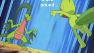 Treecko, use harden!!!