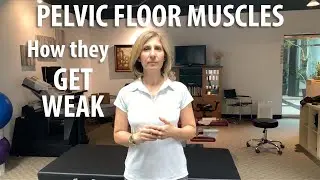 How Pelvic Floor Muscles Get Weak explained by Core Pelvic Floor Therapy