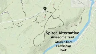 Hidden Trail Near Spirea Trail | Golden Ears Provincial Park History Walk