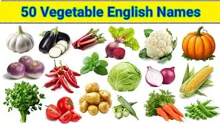 Learn 50 Vegetable Names in English: A Complete Guide for Beginners | Vegetables Vocabulary
