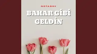 Bahar Gibi Geldin