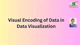 Visual Encoding  of Data  | Data Visualization | SNS Institutions