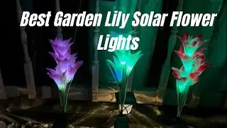 GIGALUMI 4 Pack Solar Garden Lights | Unboxing & Review