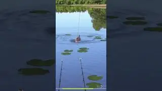 Russian Fishing 4 | The Amber Lake trophy Mirror Carp spot #russianfishing4 #rf4