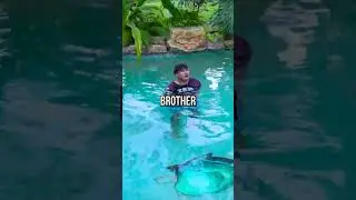 Pee'd In The Pool.. 🫣