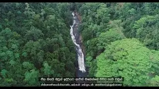 Preserving the Environment