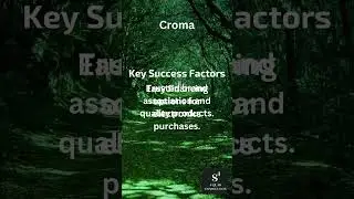 eCommerce Success Stories: Croma Key Success Factors