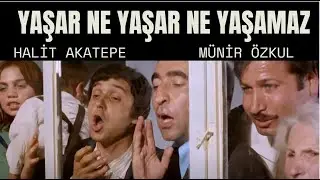 Yaşar Ne Yaşar Ne Yaşamaz T&uuml;rk Filmi | HALİT AK&Ccedil;ATEPE | FULL HD
