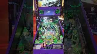 Rick and Morty pinball at The Silver Ball Planet in Osaka Japan.