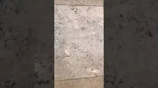 How to Clean Your Travertine Floors Part 1