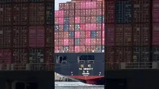 YANG MING Container Ship
