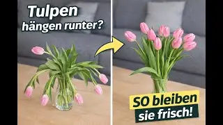 Tulpen h&auml;ngen? Mit diesen 3 Hacks stehen sie sofort wieder! #tulpen