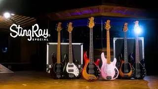 Ernie Ball Music Man: 2025 StingRay Special Bass