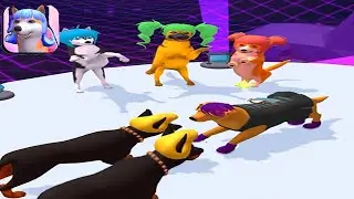 Groomer run 3D🐕❓🐩BIG UPDATE!! All Levels Walkthrough Android,ios Part-4